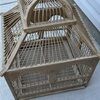 birdinacage